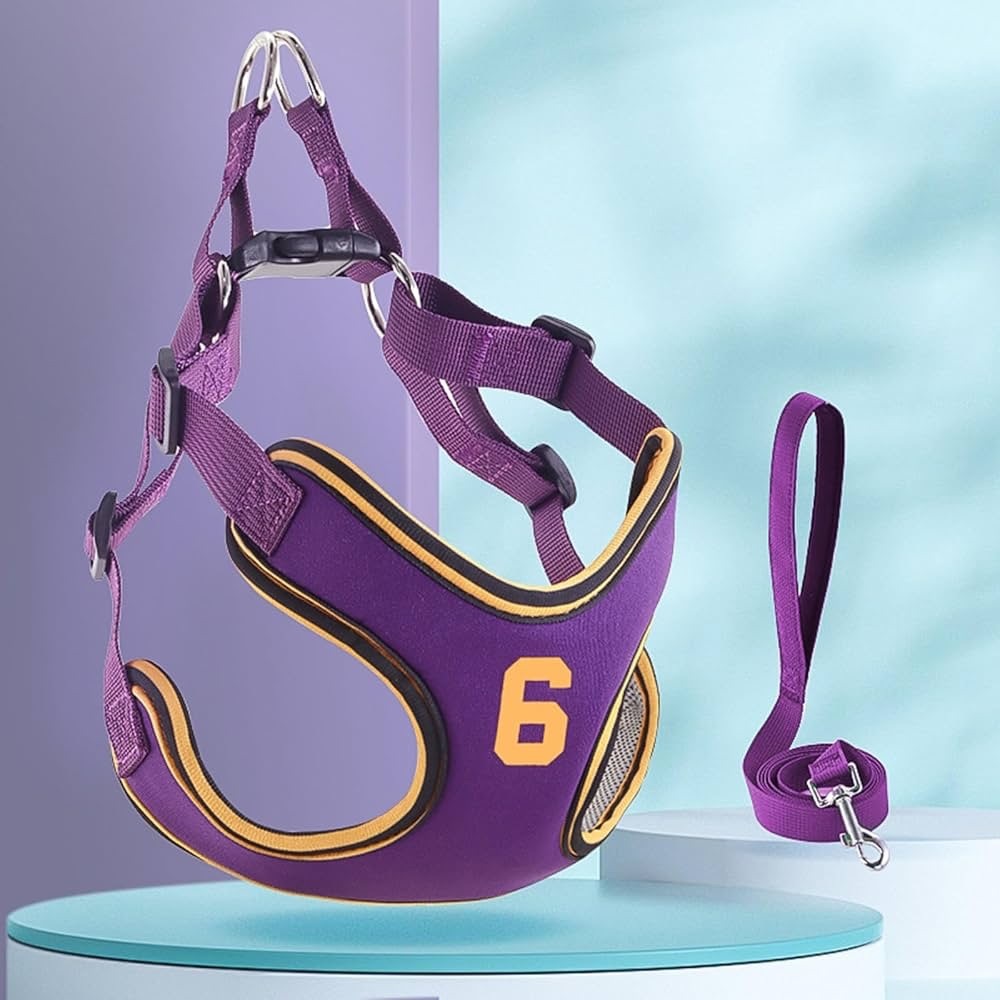 Purple Dog Harness with Leash